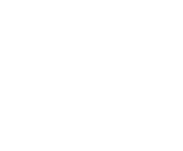 Evolution games at Big Wins Pace Casino